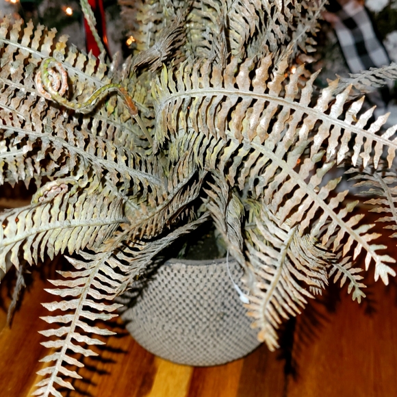 Home Decor plastic plant 🪴 NWOT - Picture 2 of 4